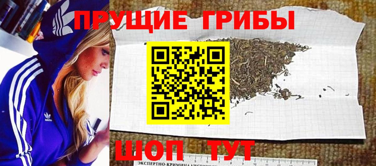 Псилоцибиновые грибы прущие грибы  Вход с VPN  Новочеркасск 