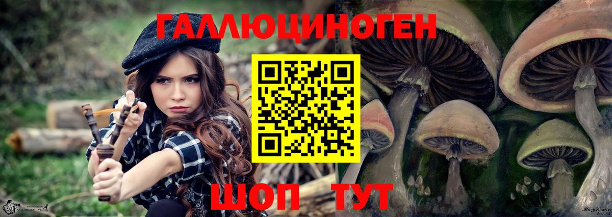 Псилоцибиновые грибы мицелий Новочеркасск
