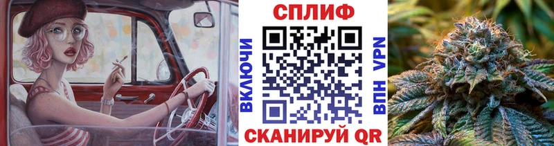 Конопля индика  купить наркотики сайты  Новочеркасск 